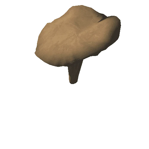 Big mushroom 4 (1,096 tris)